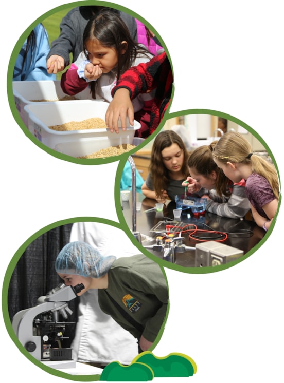 Photos of students from K-12 learning about agriculture through hands-on experiences.